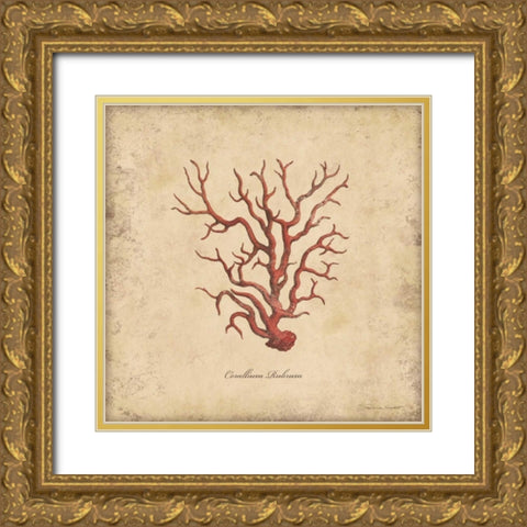 Shells I Gold Ornate Wood Framed Art Print with Double Matting by Marrott, Stephanie