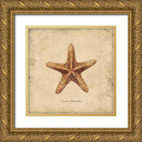 Shells III Gold Ornate Wood Framed Art Print with Double Matting by Marrott, Stephanie