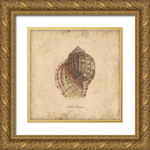 Shells IV Gold Ornate Wood Framed Art Print with Double Matting by Marrott, Stephanie