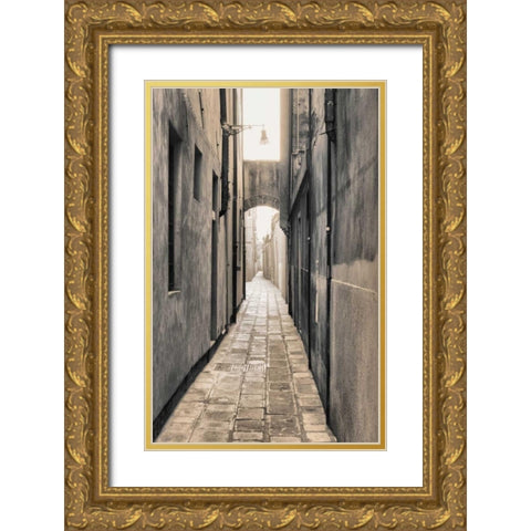 Sized alley 1 Gold Ornate Wood Framed Art Print with Double Matting by Carlier, Dick