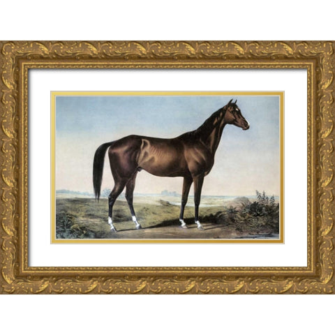 Celebrated Horse Lexington Gold Ornate Wood Framed Art Print with Double Matting by Currier and Ives