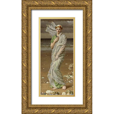 Sea Shells Gold Ornate Wood Framed Art Print with Double Matting by Moore, Albert Joseph