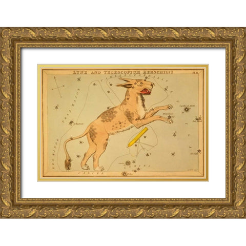 Lynx and Telescopium Herschilii, 1825 Gold Ornate Wood Framed Art Print with Double Matting by Aspin, Jehoshaphat