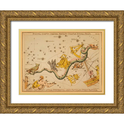 Noctua, Corvus, Crater, Sextans Uraniae, Hydra, Felis, Lupus, Centaurus, Antlia Pneumatica, Argo Nav Gold Ornate Wood Framed Art Print with Double Matting by Aspin, Jehoshaphat