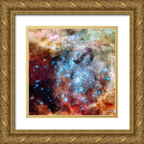Merging Clusters in 30 Doradus Gold Ornate Wood Framed Art Print with Double Matting by NASA