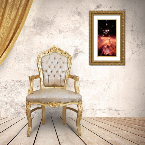 Pismis 24 and NGC 6357 (cropped) Gold Ornate Wood Framed Art Print with Double Matting by NASA