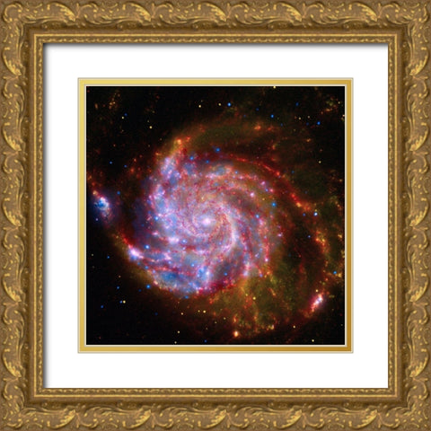 Spitzer-Hubble-Chandra Composite of M101 Gold Ornate Wood Framed Art Print with Double Matting by NASA