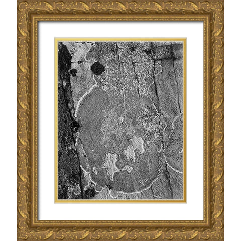 Lichons, Glacier National Park, Montana - National Parks and Monuments, 1941 Gold Ornate Wood Framed Art Print with Double Matting by Adams, Ansel