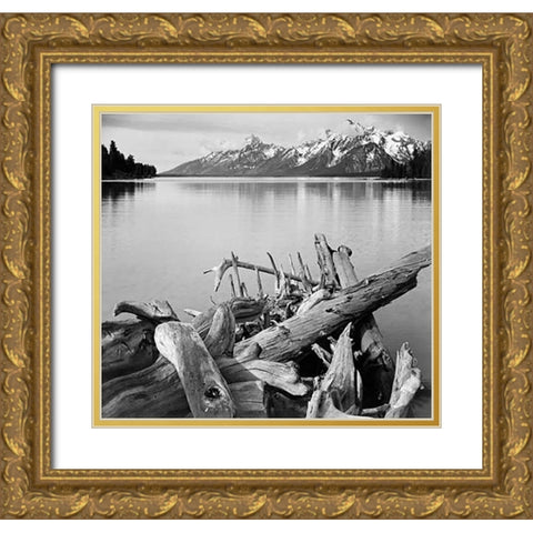 Driftwood on shore of Jackson Lake, with Teton Range in background, Grand Teton National Park, Wyomi Gold Ornate Wood Framed Art Print with Double Matting by Adams, Ansel