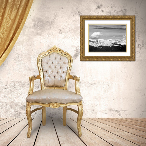View at timberline, dark foreground, light snow capped mountain, gray sky, in Rocky Mountain Nationa Gold Ornate Wood Framed Art Print with Double Matting by Adams, Ansel