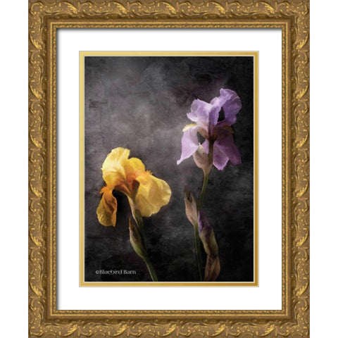 Contemporize Floral Iris Gold Ornate Wood Framed Art Print with Double Matting by Bluebird Barn