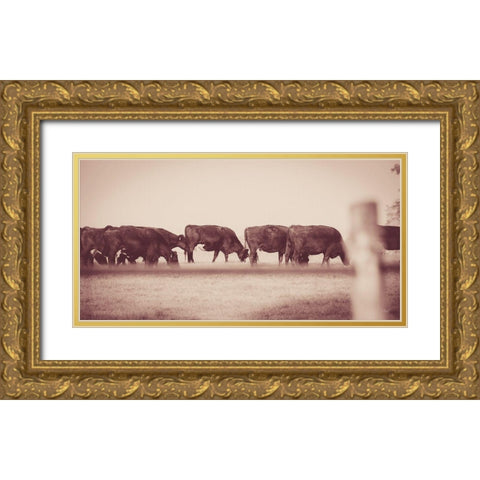Cattle Row Gold Ornate Wood Framed Art Print with Double Matting by Quillen, Donnie