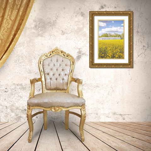 Field of Yellow I Gold Ornate Wood Framed Art Print with Double Matting by Quillen, Donnie