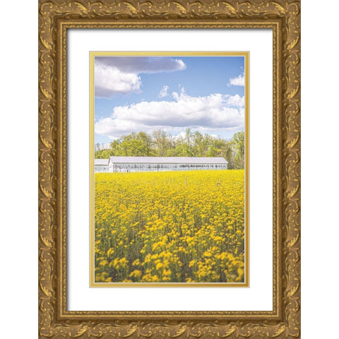 Field of Yellow I Gold Ornate Wood Framed Art Print with Double Matting by Quillen, Donnie