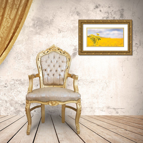 Field of Yellow II Gold Ornate Wood Framed Art Print with Double Matting by Quillen, Donnie