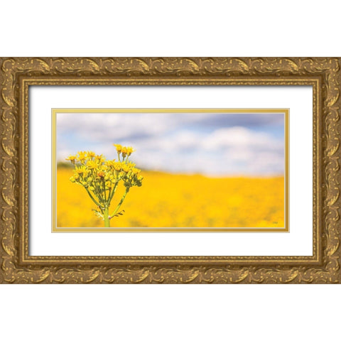 Field of Yellow II Gold Ornate Wood Framed Art Print with Double Matting by Quillen, Donnie