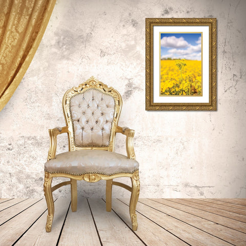 Field of Yellow III Gold Ornate Wood Framed Art Print with Double Matting by Quillen, Donnie