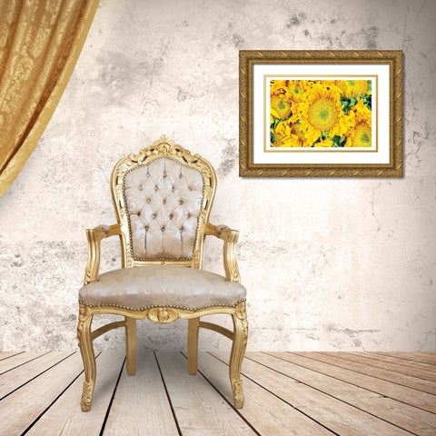 Fall Feels I Gold Ornate Wood Framed Art Print with Double Matting by Quillen, Donnie