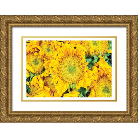 Fall Feels I Gold Ornate Wood Framed Art Print with Double Matting by Quillen, Donnie