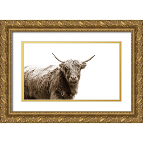 Highland Portrait Gold Ornate Wood Framed Art Print with Double Matting by Quillen, Donnie