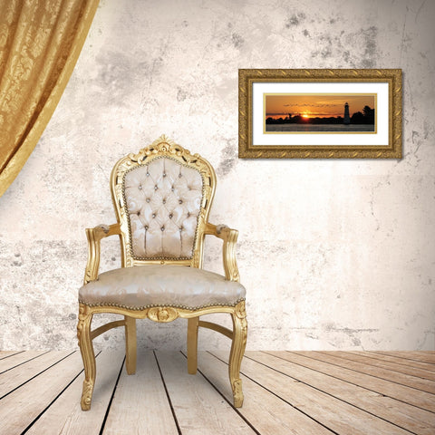 Sunset Flight Gold Ornate Wood Framed Art Print with Double Matting by Deiter, Lori