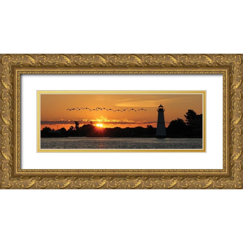 Sunset Flight Gold Ornate Wood Framed Art Print with Double Matting by Deiter, Lori