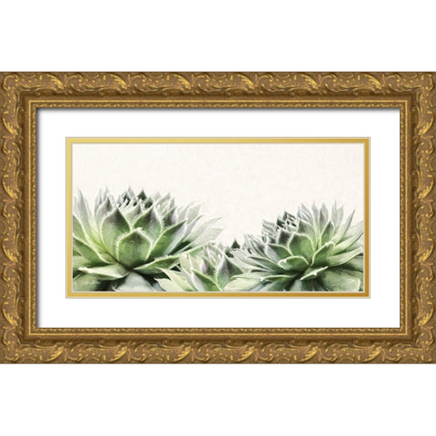 Soft Succulents I Gold Ornate Wood Framed Art Print with Double Matting by Deiter, Lori