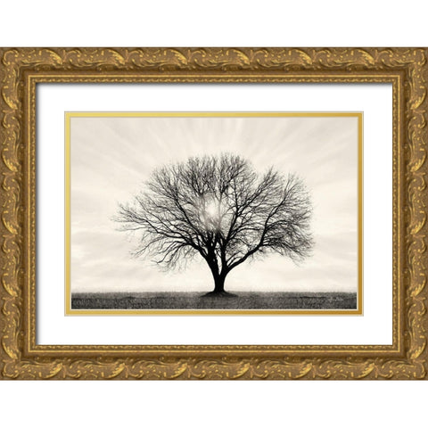 Grow in Different Directions Gold Ornate Wood Framed Art Print with Double Matting by Deiter, Lori