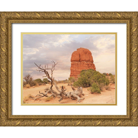 Dusty Desert I Gold Ornate Wood Framed Art Print with Double Matting by Deiter, Lori
