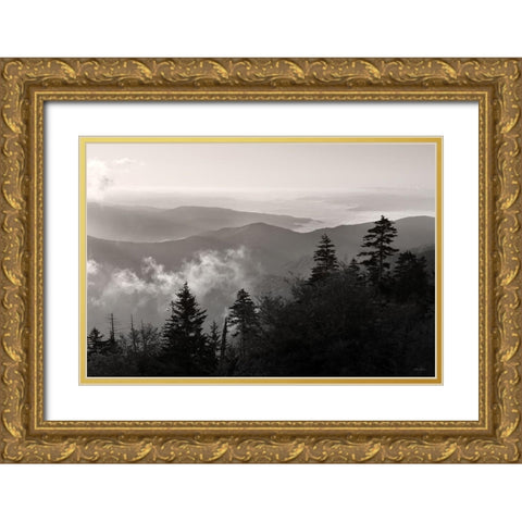 Mountain Layers 3 Gold Ornate Wood Framed Art Print with Double Matting by Deiter, Lori