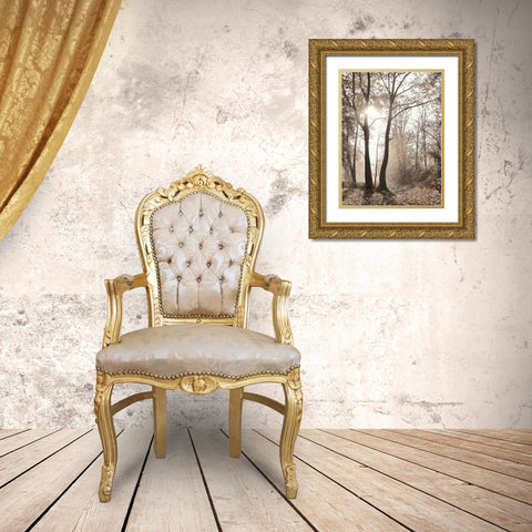 Woodland Sunrise Gold Ornate Wood Framed Art Print with Double Matting by Deiter, Lori