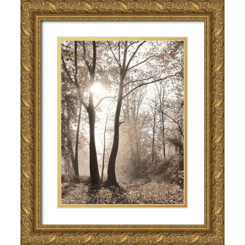 Woodland Sunrise Gold Ornate Wood Framed Art Print with Double Matting by Deiter, Lori