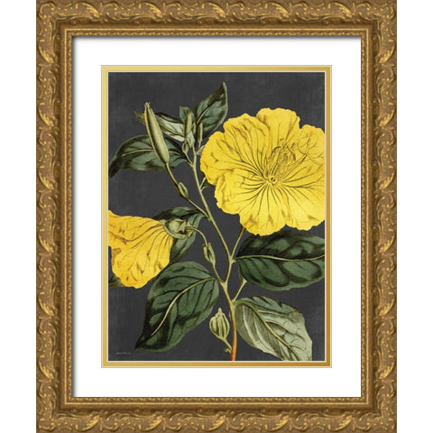 Yellow Vine Gold Ornate Wood Framed Art Print with Double Matting by Lettered and Lined
