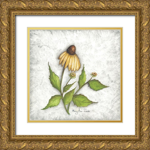 Bloomin Coneflowers Gold Ornate Wood Framed Art Print with Double Matting by June, Mary Ann