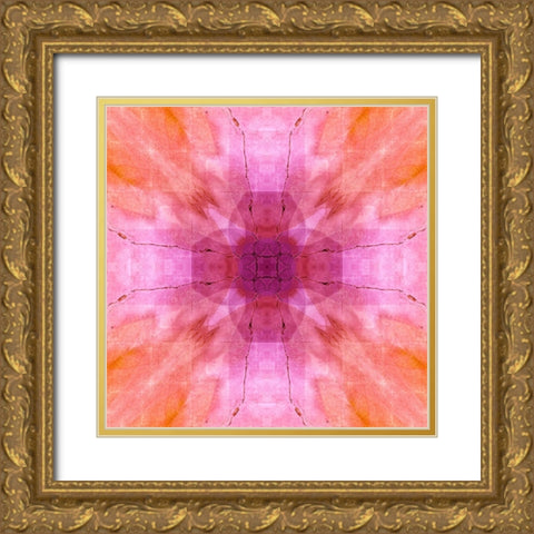 Pink and orange abstract Gold Ornate Wood Framed Art Print with Double Matting by Jaynes Gallery