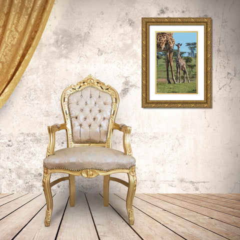 Kenya-Kenya-Masai Mara Conservancy Group of adult giraffes Mother and newborn giraffe close-up Gold Ornate Wood Framed Art Print with Double Matting by Jaynes Gallery