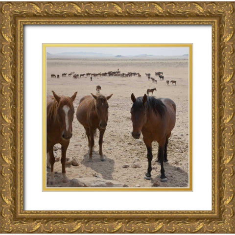 Namibia, Garub Herd of feral horses Gold Ornate Wood Framed Art Print with Double Matting by Young, Bill