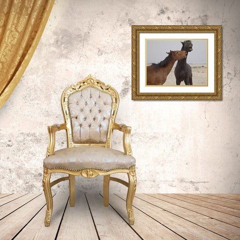 Namibia, Garub Feral horses playing Gold Ornate Wood Framed Art Print with Double Matting by Young, Bill