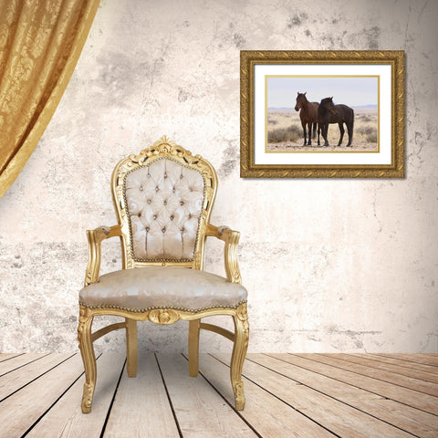 Namibia, Garub Two feral horses Gold Ornate Wood Framed Art Print with Double Matting by Young, Bill