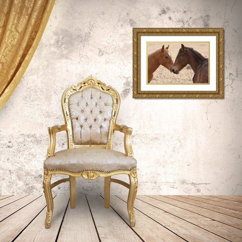 Namibia, Garub Feral horse herd touch noses Gold Ornate Wood Framed Art Print with Double Matting by Young, Bill