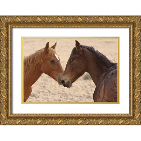 Namibia, Garub Feral horse herd touch noses Gold Ornate Wood Framed Art Print with Double Matting by Young, Bill