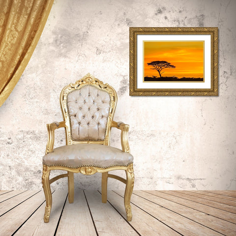 Africa-Tanzania-Serengeti National Park Acacia tree silhouette at sunset Gold Ornate Wood Framed Art Print with Double Matting by Jaynes Gallery