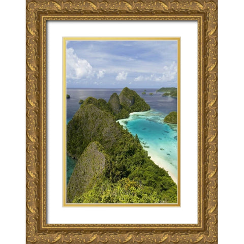 Island vegetation, New Guinea Island, Indonesia Gold Ornate Wood Framed Art Print with Double Matting by Shimlock, Jones