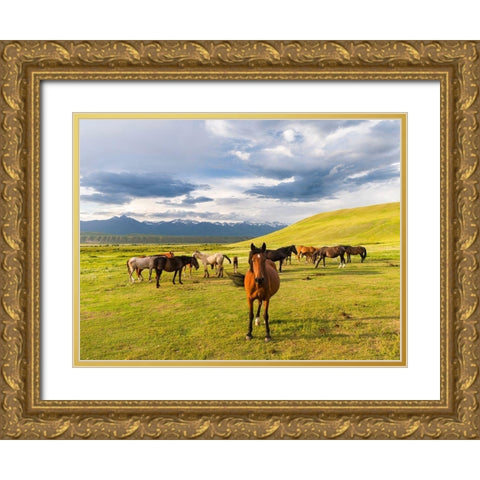 Horses for the production of milk-kumys and meat A typical farm on the Suusamyr plain-a high valley Gold Ornate Wood Framed Art Print with Double Matting by Zwick, Martin