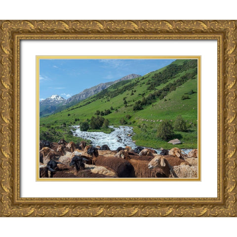 Sheep drive to their high altitude summer pasture National Park Besch Tasch Gold Ornate Wood Framed Art Print with Double Matting by Zwick, Martin