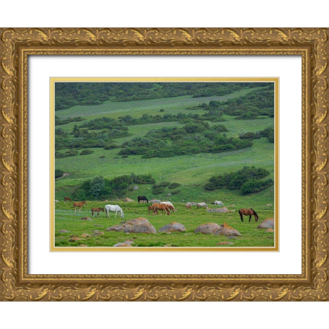 Horses on their summer pasture National Park Besch Tasch in the Talas Alatoo mountain range Gold Ornate Wood Framed Art Print with Double Matting by Zwick, Martin