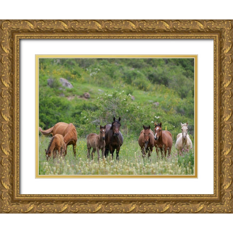 Horses on their summer pasture National Park Besch Tasch in the Talas Alatoo mountain range Gold Ornate Wood Framed Art Print with Double Matting by Zwick, Martin