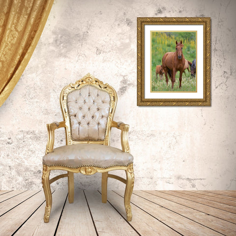 Horses on their summer pasture National Park Besch Tasch in the Talas Alatoo mountain range Gold Ornate Wood Framed Art Print with Double Matting by Zwick, Martin