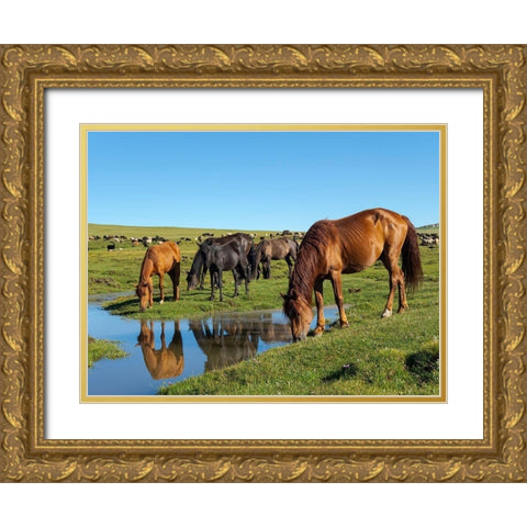 Horses on their mountain pasture at lake Song Kol  Gold Ornate Wood Framed Art Print with Double Matting by Zwick, Martin
