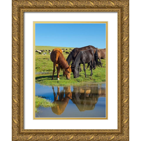 Horses on their mountain pasture at lake Song Kol  Gold Ornate Wood Framed Art Print with Double Matting by Zwick, Martin